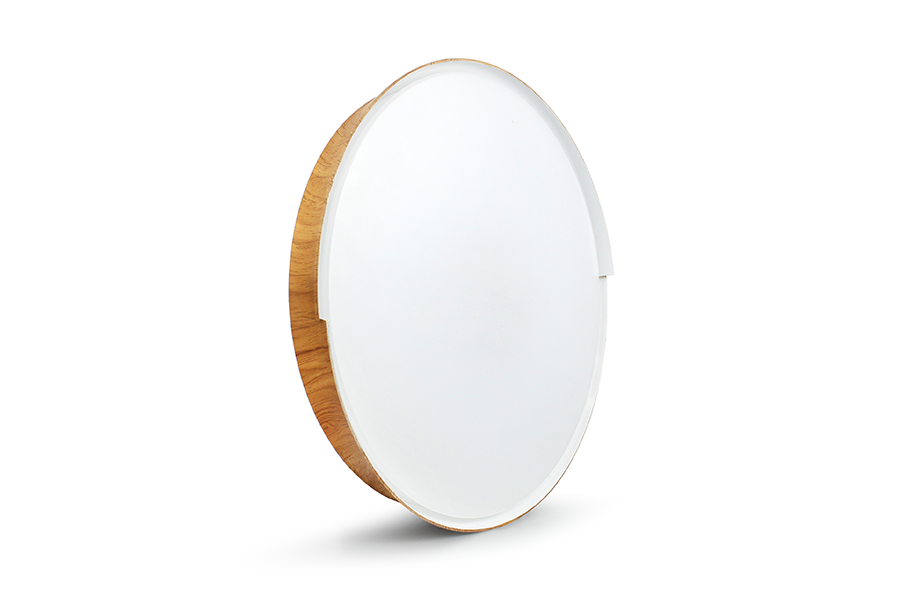 ADAYO LED light ceiling light