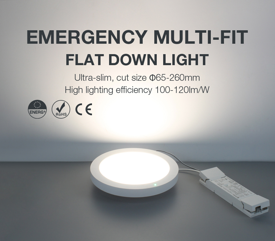 ADAYO emergency downlight