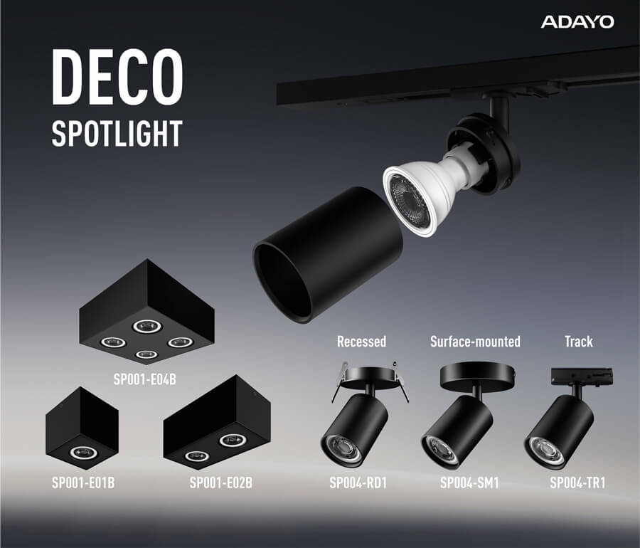 DECO Spotlight