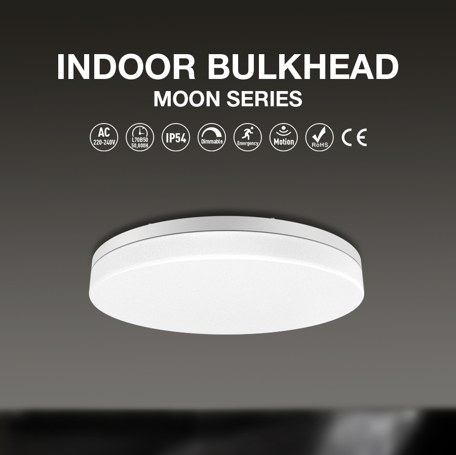 ADAYO bulkhead led wall light