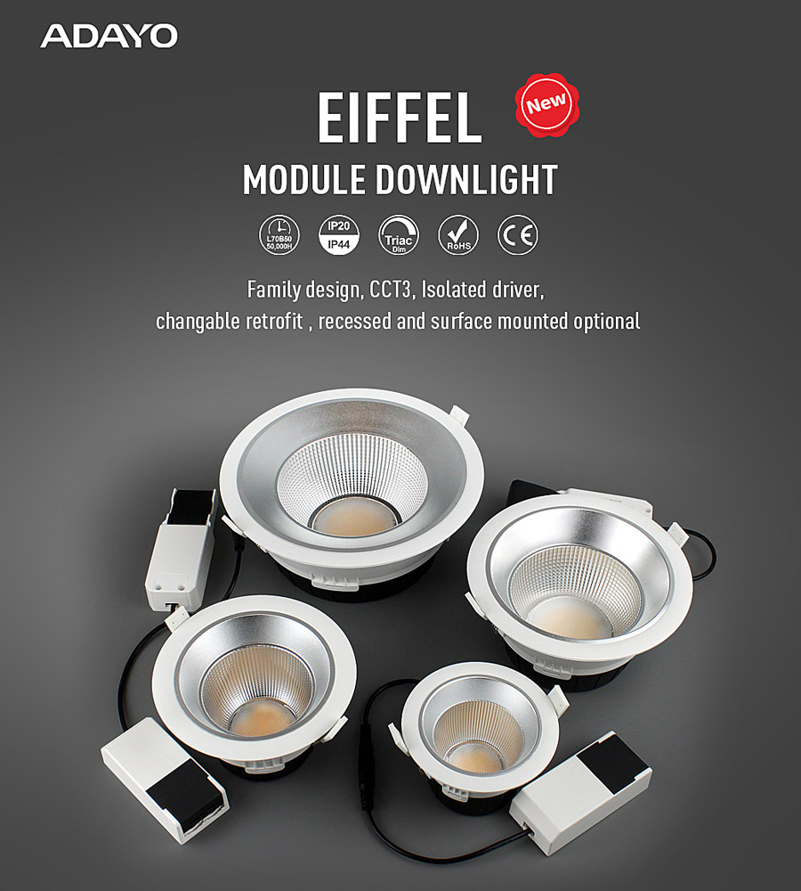 External Power Recessed Module Downlight